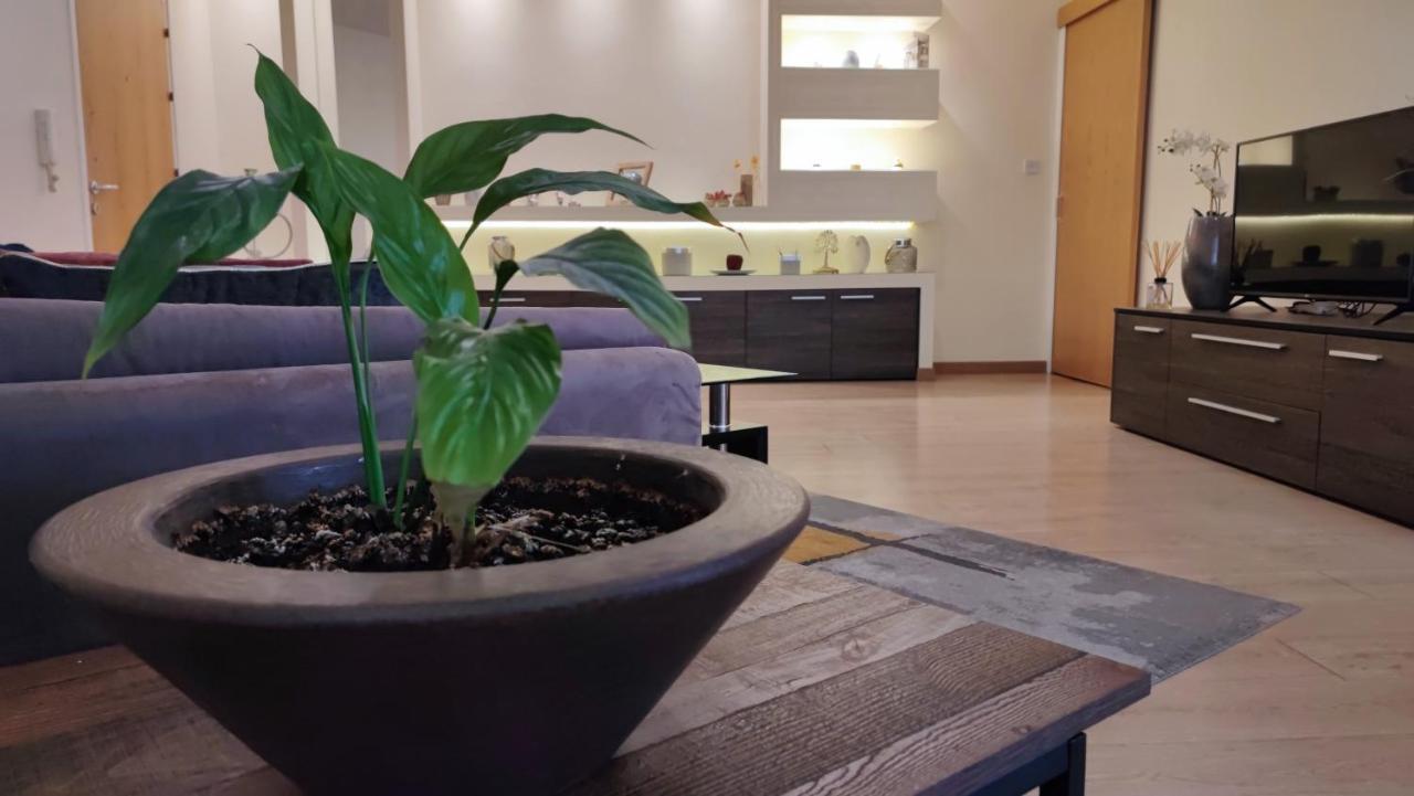 Isabella Modern Flat City Center 니코시아 외부 사진